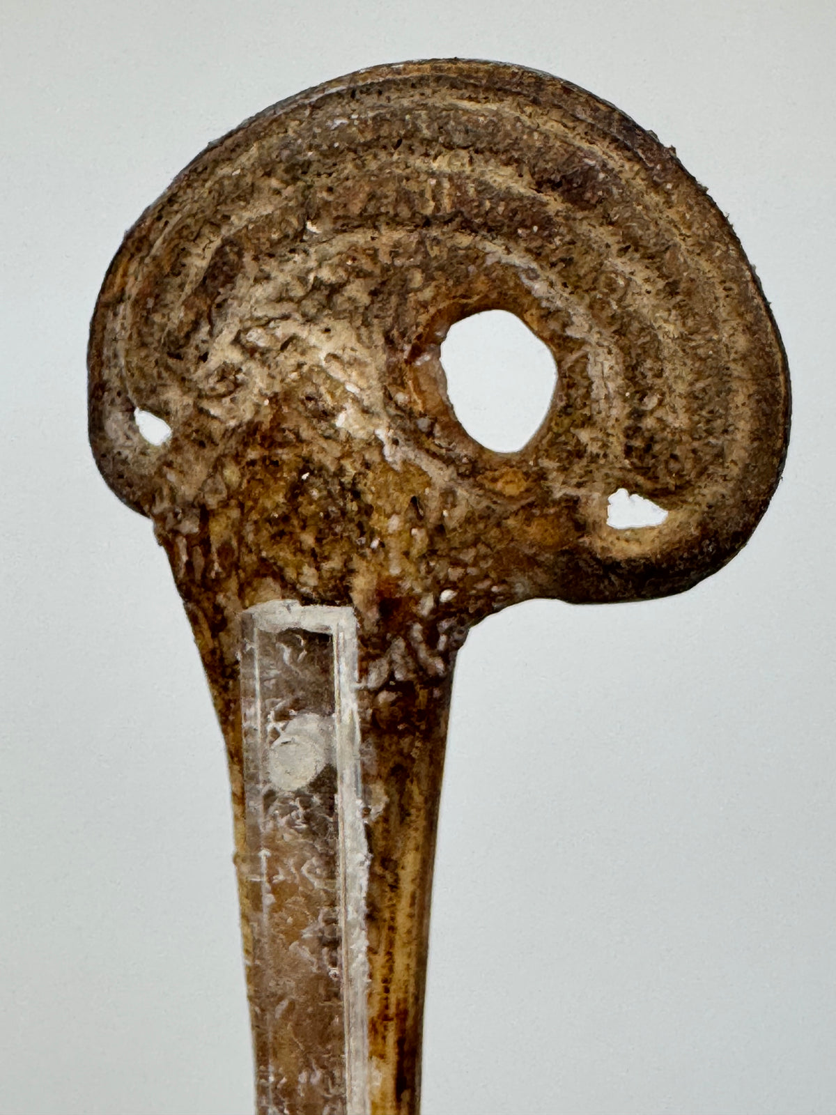Cassowary Bone Lime Spatula with Acrylic Stand from Papua New Guinea (PNG)