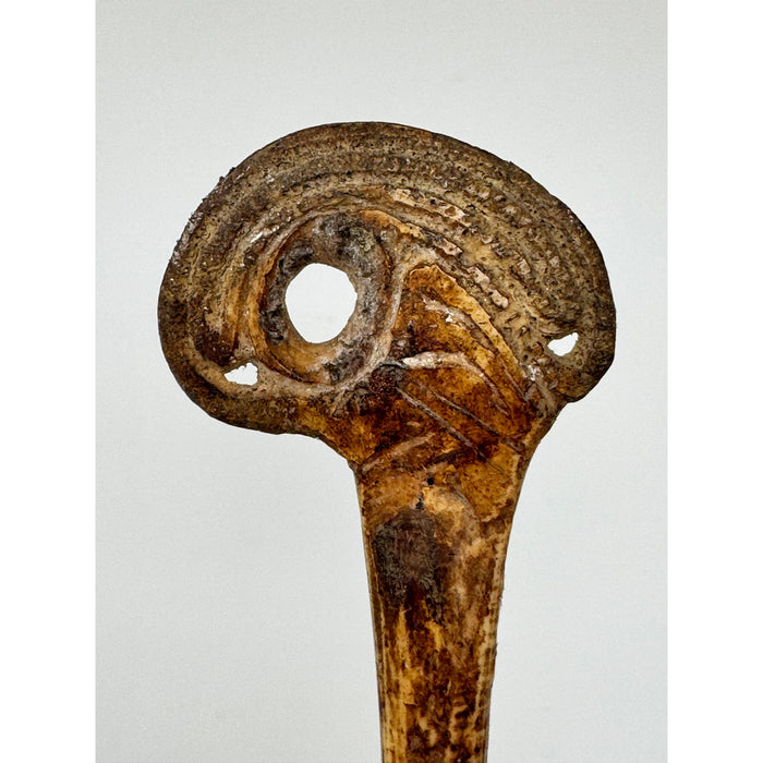 Cassowary Bone Lime Spatula with Acrylic Stand from Papua New Guinea (PNG)