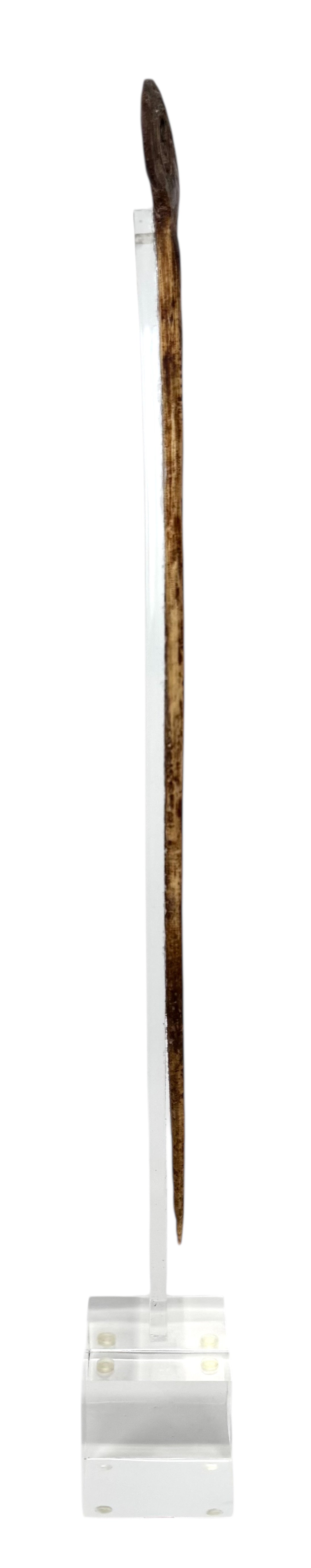 Cassowary Bone Lime Spatula with Acrylic Stand from Papua New Guinea (PNG)
