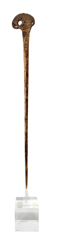 Cassowary Bone Lime Spatula with Acrylic Stand from Papua New Guinea (PNG)