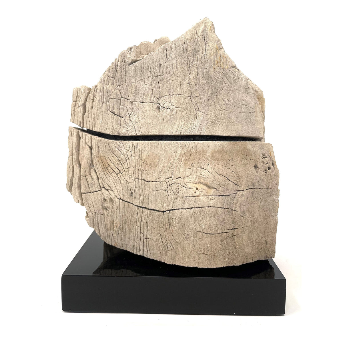 Petrified Wood Specimen with Base