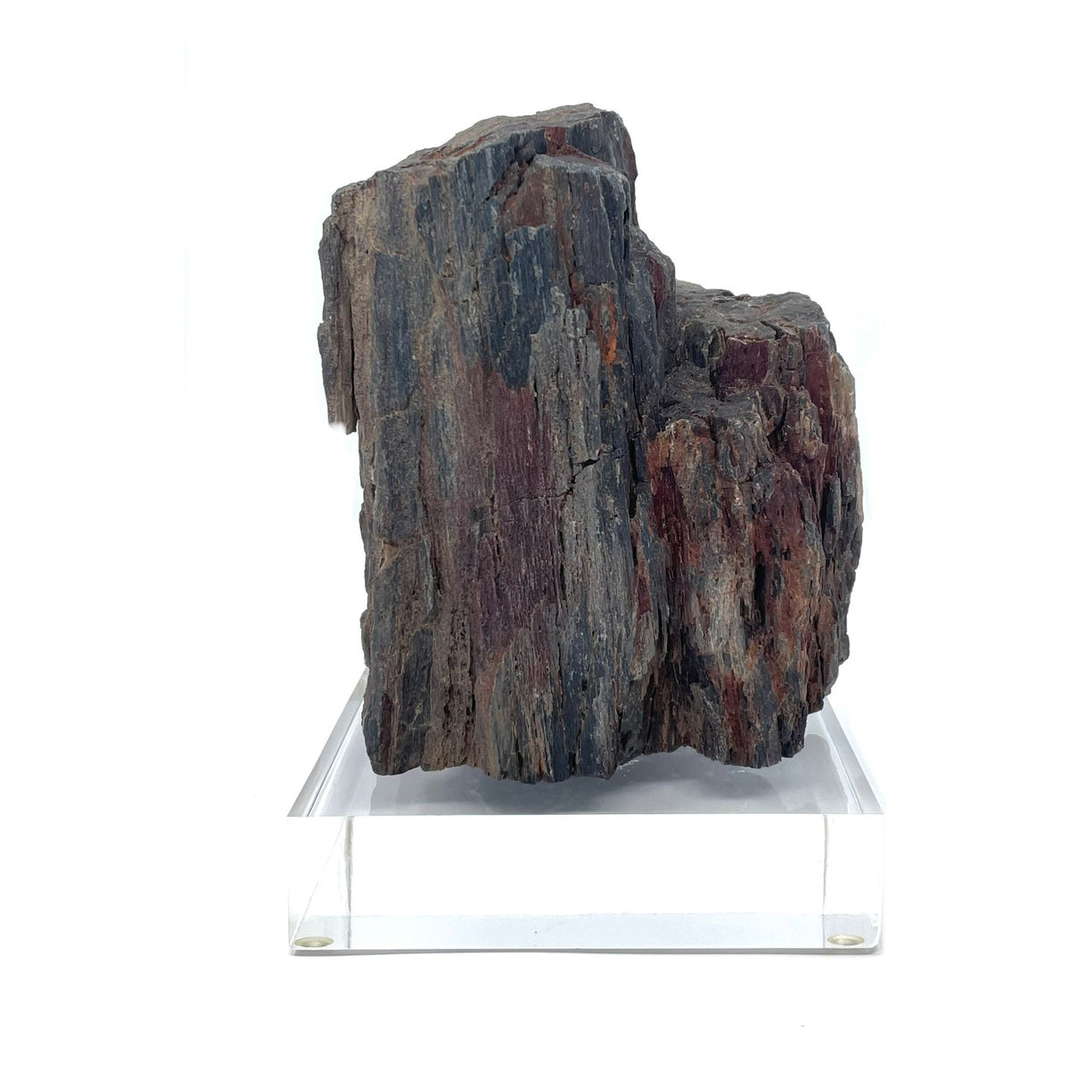 Petrified Wood Specimen with Base