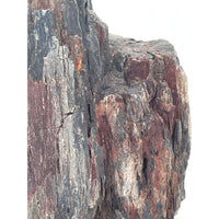 Petrified Wood Specimen with Base