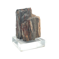 Petrified Wood Specimen with Base