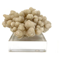 Aragonite and Calcite Mineral Cluster on Base