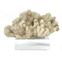 Aragonite and Calcite Mineral Cluster on Base