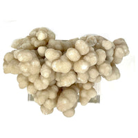 Aragonite and Calcite Mineral Cluster on Base