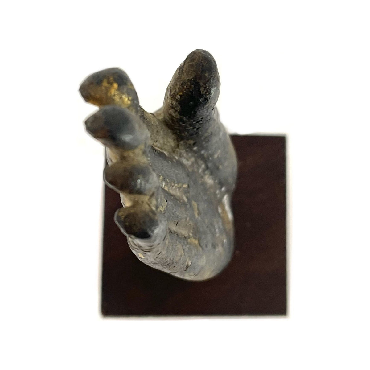 19th Century Thai Bronze Buddha Hand, 'Abhaya Mudra' Gesture - 6.5" H X 2" W