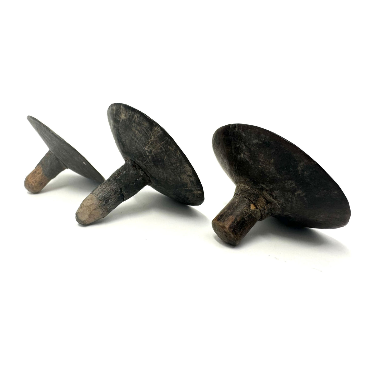 Set of Three Abelam Coconut Shell Tops/Children's Toys with Incised Designs and Acrylic Stand from Papua New Guinea (PNG)