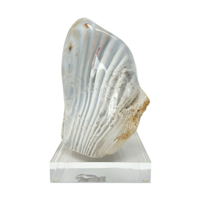 Zebra Jasper Freeform Specimen on Acrylic Base - 6.5" H X 4.5" D