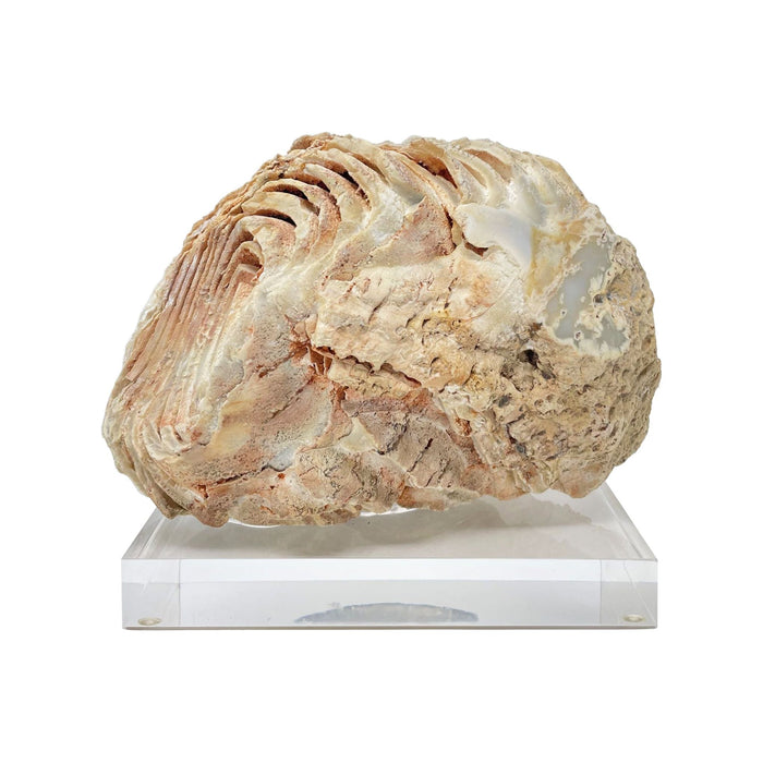 White & Gray Agate Freeshape on Base - 4.5" H X 7" L X 3.5" D