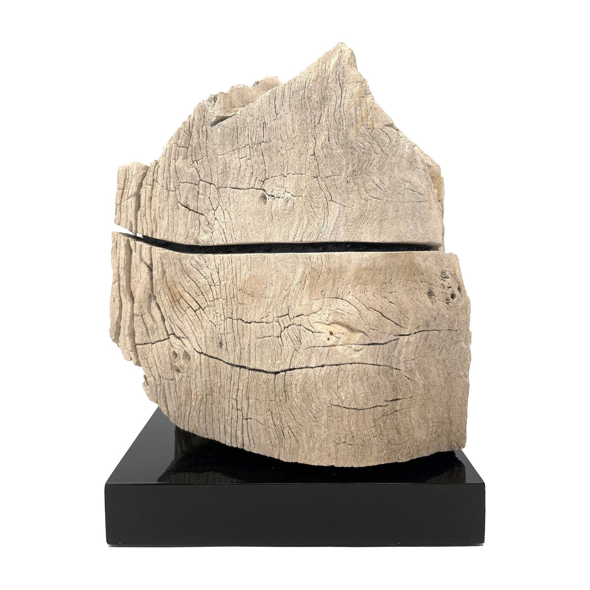 Petrified Wood Specimen with Base