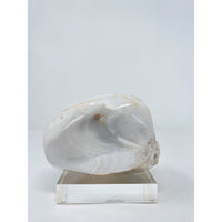 White Agate Freeshape on Base