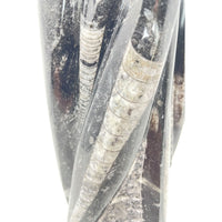 Orthoceras Fossil Tower