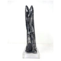 Orthoceras Fossil Tower with Acrylic Base - 12" H X 3.5" L X 2.75" D