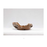 Natural Edge Carved Wood Bowl