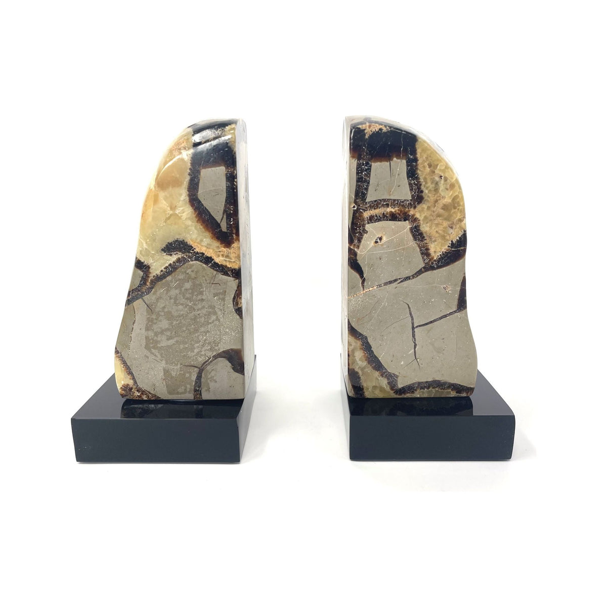 Pair of Septarian Agate Bookends